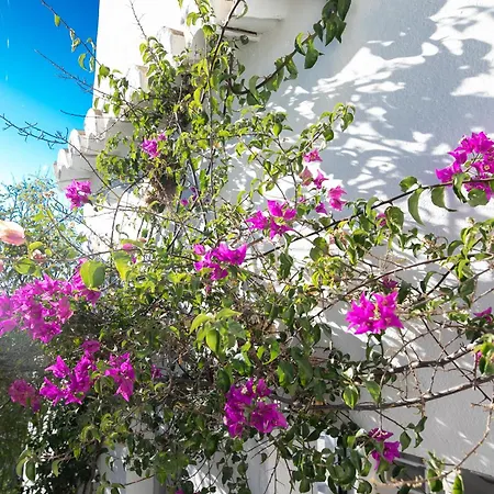 Villa El Solitaire-luxurious Villa-infinity Salt Water Pool-sea Views-jacuzzi Cómpeta